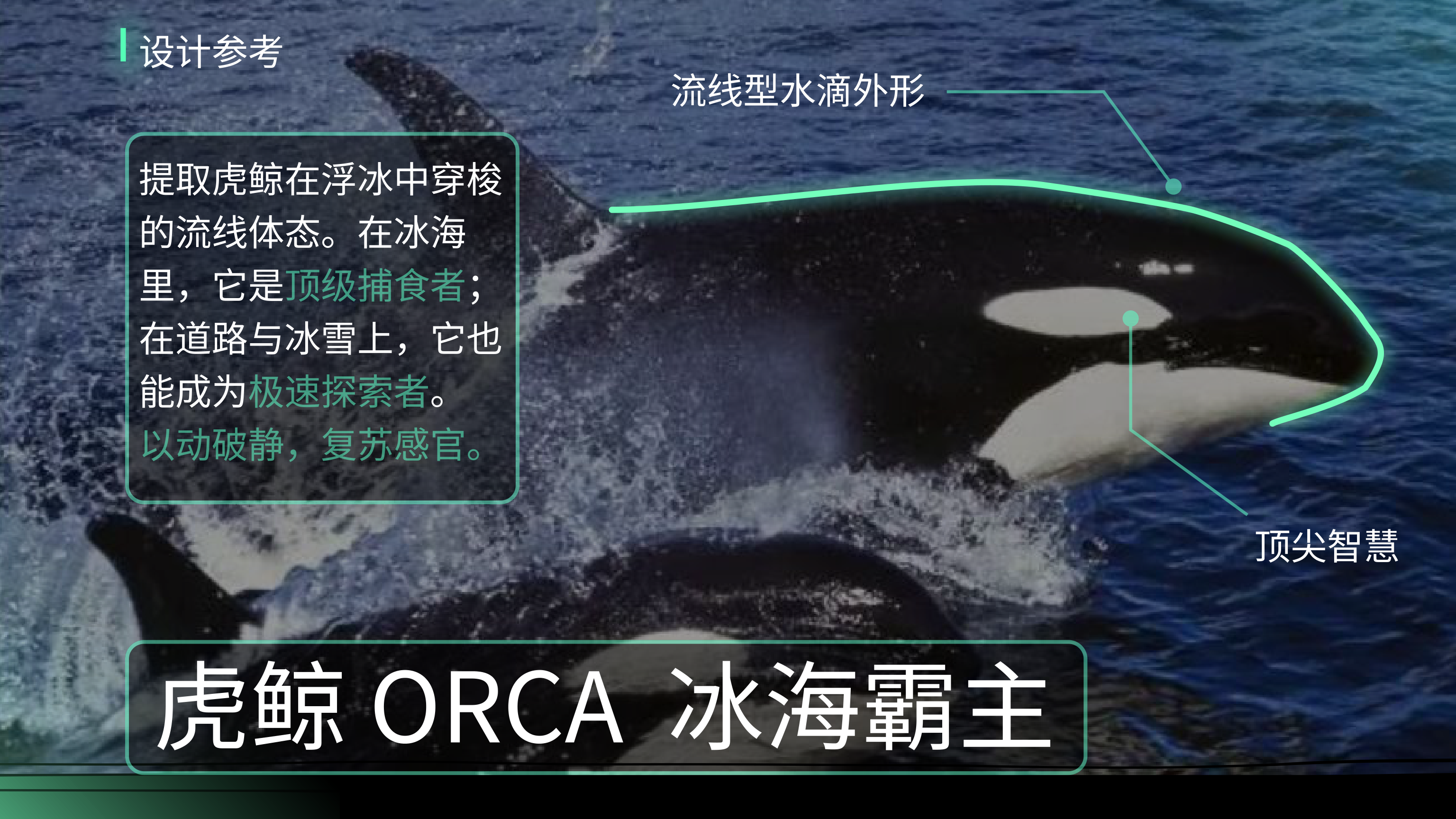 外饰设计参考